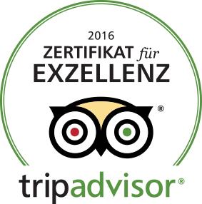 Tripadvisor Logo COE2016 de
