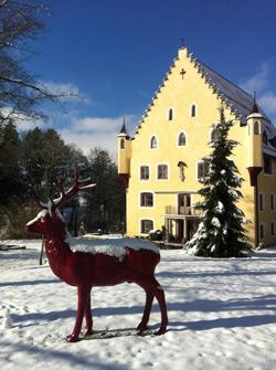 Hirsch im Schnee klein